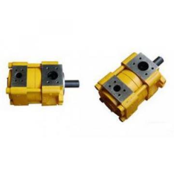 Sumitomo Germany QT Series Gear Pump