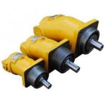 A2F10W2S2 A2F Series Fixed Displacement Piston Pump