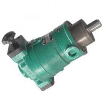 10SCY14-1B  axial plunger pump