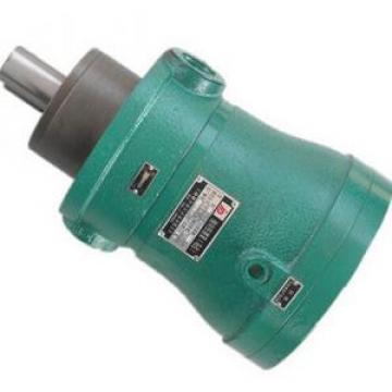 80MCM14-1B Series Axial Piston Motor