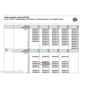 REXROTH 0822065102 PNEUMATIC CYLINDER/LINEAR ACTUATOR Origin NO BOX