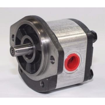 Hydraulic Gear Pump 1PN070AG1P13D3CNXS