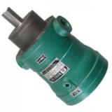 MCY14-1B fixed displacement piston pump