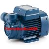 Electric Peripheral Water PQ Pump PQm65 0,7Hp Brass impeller 240V Pedrollo Z1 #1 small image