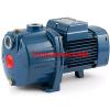 Multi Stage Centrifugal Electric Water Pump 4CPm 80-C 0,85Hp 240V Pedrollo Z1 #1 small image