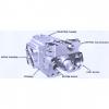 Dansion piston pump gold cup series P6R-4R5E-9A8-B0X-B0