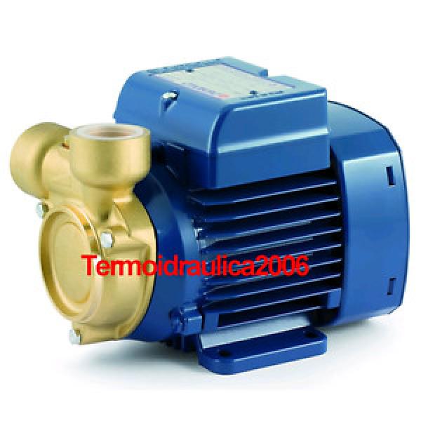 Electric Peripheral Water PQ Pump PQm81-Bs 0,7Hp Brass body 240V Pedrollo Z1 #1 image