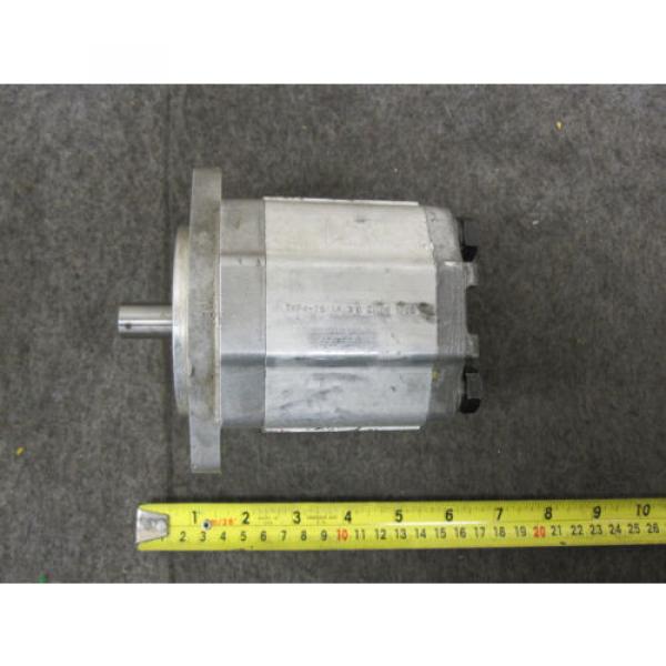 NEW SAUER SUNSTRAND GEAR PUMP TKP4-26/14 #1 image