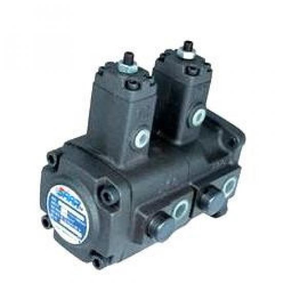 VB1B1 Variable Displacement Vane Pumps #1 image