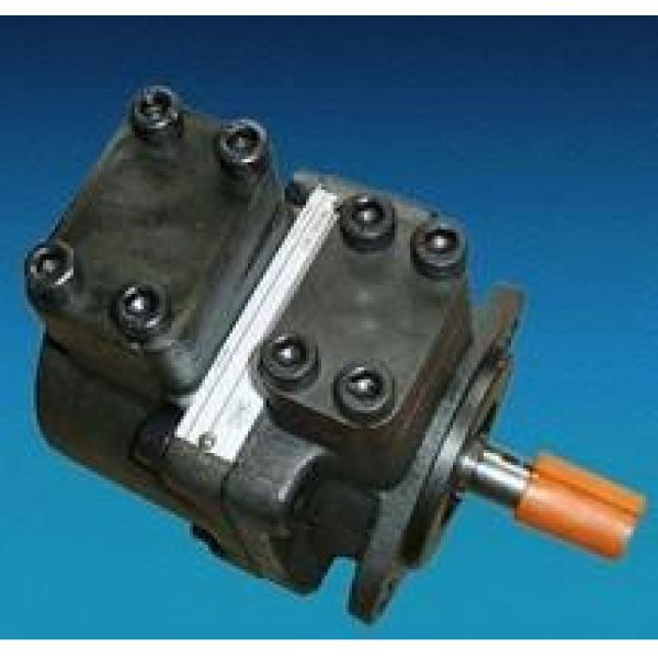 Atos PFE-21,PFE-31,PFE-41,PFE-51 Series Vane Pumps #1 image