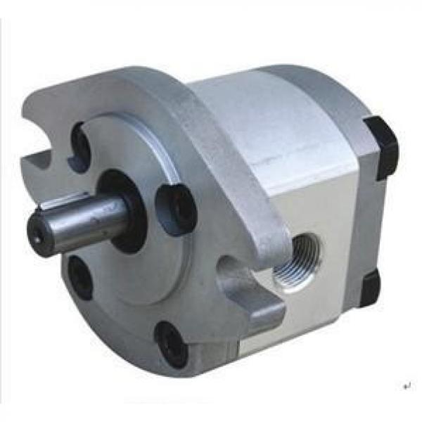 HGP-3A Singapore Series Gear Pump #1 image