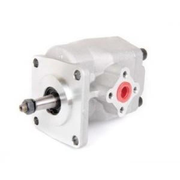 HGP-2A Egypt Series Gear Pump #1 image