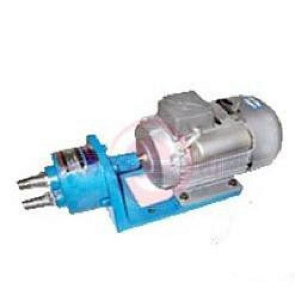 WCB-S Germany Series Gear Pumps #1 image